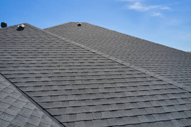 Best Solar Panel Roofing Installation  in Round Lake, IL